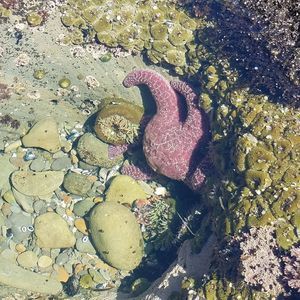 Meet your Posher, Carl